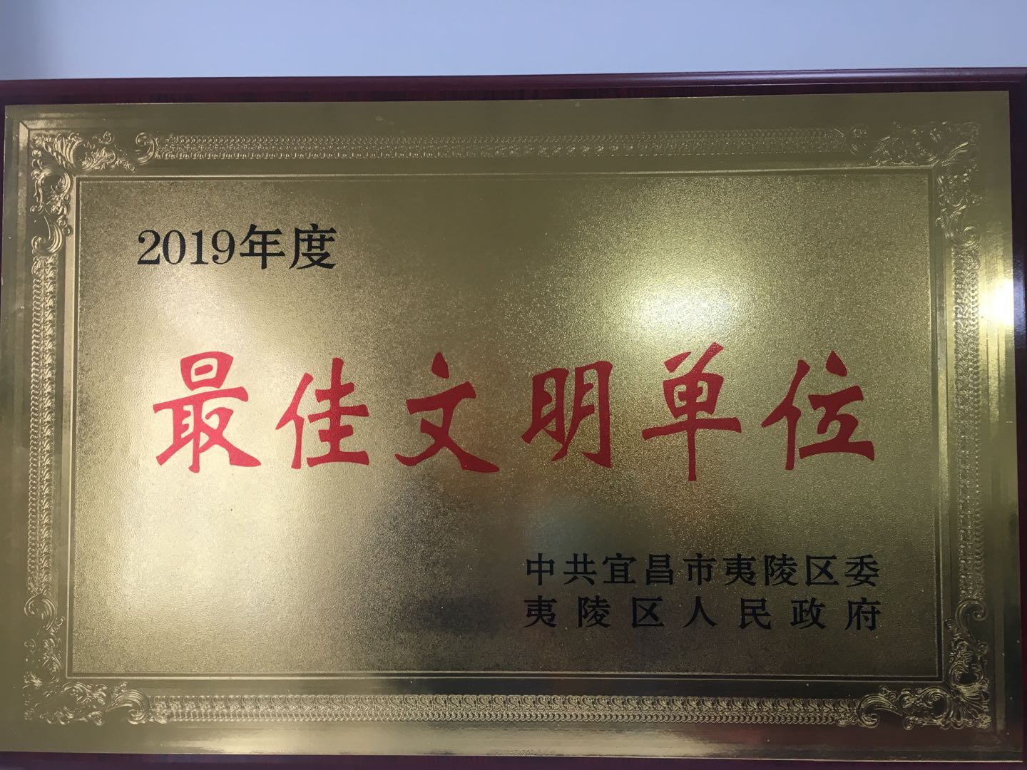 16155644968 2019年度usdt游戏官网最佳文化单元